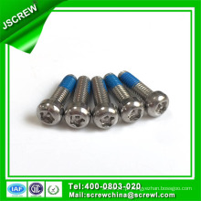 Personalizada Cabeça Torx Nylok Security Screw